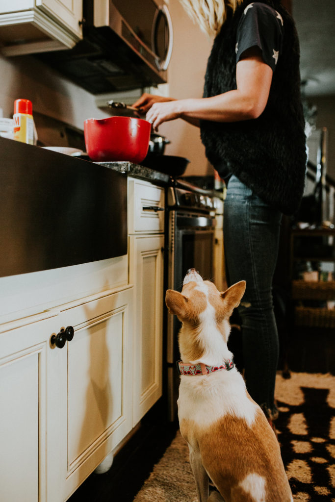 cooking with pups